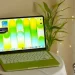 A dangerous bug in macOS allows you to remotely control other people’s Macs without a password