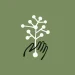 Anthropic proposes an AI model for managing science lab equipment Anthropic proposes an AI model for managing science lab equipment