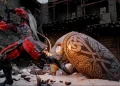 Crimson Desert is complete, it’s time to seriously consider DLC Crimson Desert is complete, it’s time to seriously consider DLC