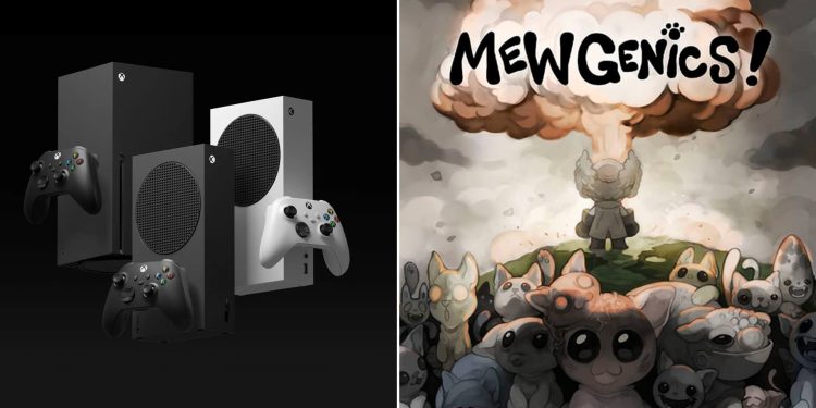 Critically acclaimed Mewgenics is coming to Xbox Series X | S Leaked on September 8 – Xbox Store