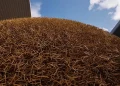 Eight-player co-op Needle in a Haystack Simulator is coming to Steam – Trailer and details for Needle in a Haystack Simulator Eight-player co-op Needle in a Haystack Simulator is coming to Steam – Trailer and details for Needle in a Haystack Simulator
