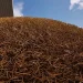 Eight-player co-op Needle in a Haystack Simulator is coming to Steam – Trailer and details for Needle in a Haystack Simulator Eight-player co-op Needle in a Haystack Simulator is coming to Steam – Trailer and details for Needle in a Haystack Simulator