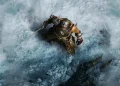 ‘Final Skyrim 2’: Modder will add full-fledged snow transformation to The Elder Scrolls V: Skyrim, although this is considered impossible ‘Final Skyrim 2’: Modder will add full-fledged snow transformation to The Elder Scrolls V: Skyrim, although this is considered impossible