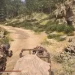 Gameplay showcases cargo transport in action MMO ArcheAge Chronicles