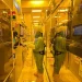 Gratifying effect: SMIC’s AI peripheral chip revenue increased by 40%
