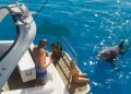 New Grand Theft Auto VI leaks surface online: swimming, fighting, and police work New Grand Theft Auto VI leaks surface online: swimming, fighting, and police work