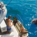 New Grand Theft Auto VI leaks surface online: swimming, fighting, and police work New Grand Theft Auto VI leaks surface online: swimming, fighting, and police work