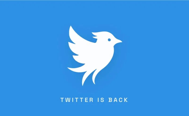 New Twitter launched — against Elon Musk’s wishes
