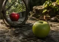 Scientists create a ‘fake mirror’ with no electronics – you’ll never see real reflections in it