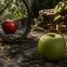 Scientists create a ‘fake mirror’ with no electronics – you’ll never see real reflections in it Scientists create a ‘fake mirror’ with no electronics – you’ll never see real reflections in it