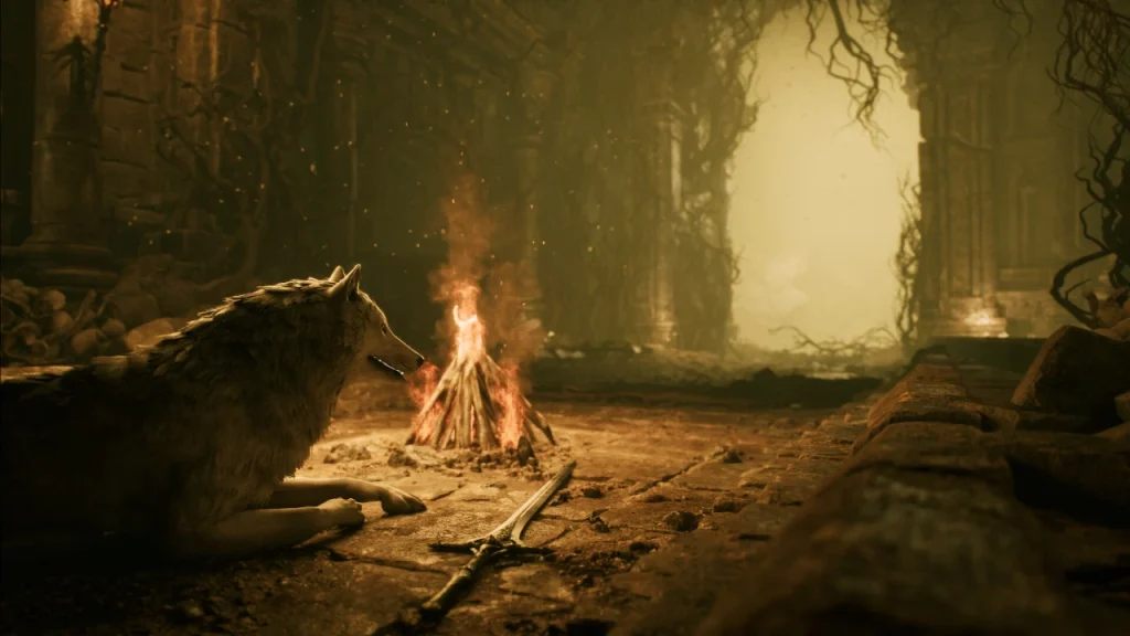 “Sosalik”, but about a dog: Action declares stray dogs: no one cares