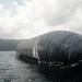 Starship that survived Indian Ocean splashdown towed to Christmas Island Starship that survived Indian Ocean splashdown towed to Christmas Island
