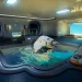 Subnautica 2 developer improves interface, inventory, voice chat and announces update 2.0 Subnautica 2 developer improves interface, inventory, voice chat and announces update 2.0