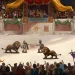 The demo for Gladiator School simulator Dominus Gladiatus will be released tomorrow, August 18th The demo for Gladiator School simulator Dominus Gladiatus will be released tomorrow, August 18th