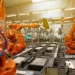 The number of industrial robots in Russia will only grow by 10.9% in 2025