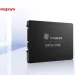 Tough start: Longsys to become third Chinese chipmaker to go public this year