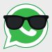 WhatsApp brings photo, video and sticker previews directly to the chat list on Android