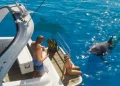 Where is the revolution? GTA 6 looks good from leaks, but nothing standout