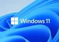 Windows 11 August patch causes some games to crash and other issues