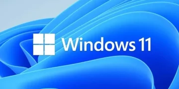 Windows 11 August patch causes some games to crash and other issues Windows 11 August patch causes some games to crash and other issues