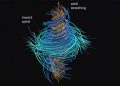 OpenAI says its artificial intelligence solves one of the Millennium Challenges OpenAI says its artificial intelligence solves one of the Millennium Challenges