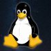 AMD prepares to support GDDR7 in Linux drivers: news on future Radeons AMD prepares to support GDDR7 in Linux drivers: news on future Radeons