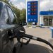 Aroged: FAS has opened 50 cases against Russian fuel market players since the beginning of this year