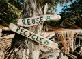 Artificial intelligence will flood the planet with electronic waste – waste generated by data centers will triple by 2050 Artificial intelligence will flood the planet with electronic waste – waste generated by data centers will triple by 2050