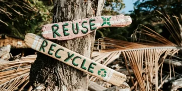 Artificial intelligence will flood the planet with electronic waste – waste generated by data centers will triple by 2050