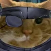 As long as they don’t make a new Metal Gear Solid, Konami will be attending KotoCon 2026