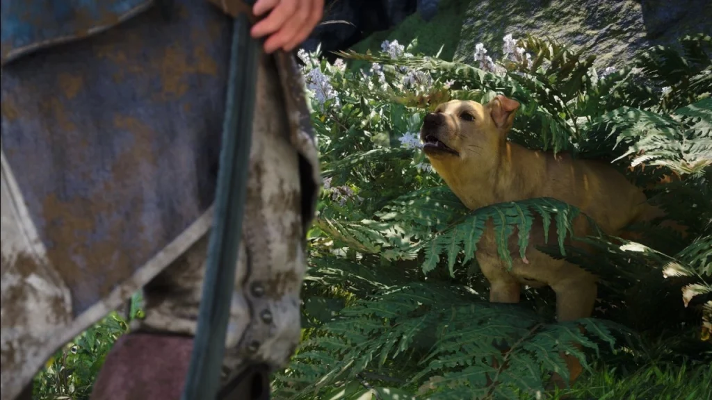 Assassin’s Creed Black Flag resync receives update 1.0.7, including pets and new settings Assassin’s Creed Black Flag resync receives update 1.0.7, including pets and new settings