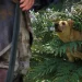 Assassin’s Creed Black Flag resync receives update 1.0.7, including pets and new settings Assassin’s Creed Black Flag resync receives update 1.0.7, including pets and new settings