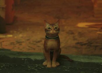 Cats in the Cyber ​​City: Stray PC and Mac Live Game Discounts