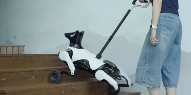 China has developed a four-legged guide robot for the blind.