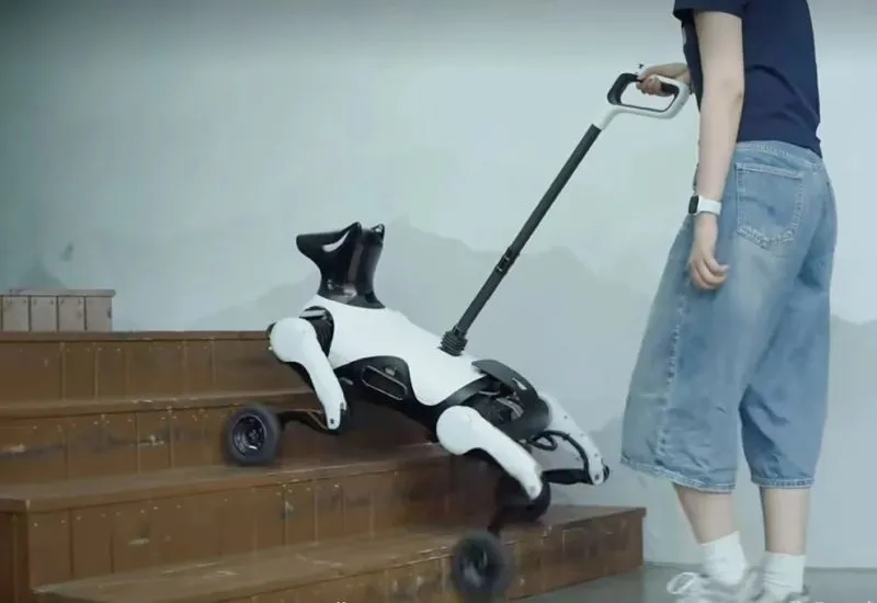 China has developed a four-legged guide robot for the blind. China has developed a four-legged guide robot for the blind.