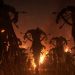 Diablo 5 will have the largest number of classes yet in the series at launch Diablo 5 will have the largest number of classes yet in the series at launch