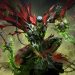 ‘Diablo Immortal’ meets ‘Spawn’: Collaboration with Todd McFarlane revealed ‘Diablo Immortal’ meets ‘Spawn’: Collaboration with Todd McFarlane revealed