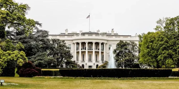 Donald Trump and Xi Jinping discussed AI safety in person, but did not issue detailed statements Donald Trump and Xi Jinping discussed AI safety in person, but did not issue detailed statements