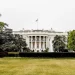 Donald Trump and Xi Jinping discussed AI safety in person, but did not issue detailed statements Donald Trump and Xi Jinping discussed AI safety in person, but did not issue detailed statements