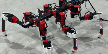 Hexapod robot learns to walk independently like a stick insect