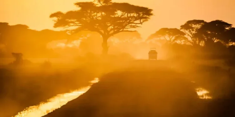 In Africa, they create a compact LL.M. that beats Google and Meta’s larger models ✴ – Morena speaks 12 local languages In Africa, they create a compact LL.M. that beats Google and Meta’s larger models ✴ – Morena speaks 12 local languages
