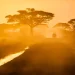 In Africa, they create a compact LL.M. that beats Google and Meta’s larger models ✴ – Morena speaks 12 local languages In Africa, they create a compact LL.M. that beats Google and Meta’s larger models ✴ – Morena speaks 12 local languages