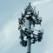 MTS launches gigabit 5G on Russian frequencies in five cities – but with a nuance MTS launches gigabit 5G on Russian frequencies in five cities – but with a nuance