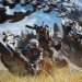 Monster Hunter Wilds on Nintendo Switch 2 in handheld mode revealed: “It runs really well” Monster Hunter Wilds on Nintendo Switch 2 in handheld mode revealed: “It runs really well”