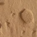 NASA’s Curiosity rover has discovered strange “footprints” on Mars – and scientists don’t yet know where they came from.