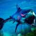 Play Maneater (PC version) for just over €3, with a discount on Instant Gaming Play Maneater (PC version) for just over €3, with a discount on Instant Gaming