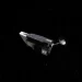 Roman Space Telescope lasts 12 more years – precision operation saves fuel Roman Space Telescope lasts 12 more years – precision operation saves fuel