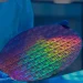 Samsung and Arm will develop a chip for OpenAI, which will be produced using 2nm technology