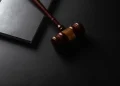 Subscribers to ChatGPT and other chatbots have filed a lawsuit against the market leader over proposals to slow the development of artificial intelligence