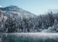 The Russian Ministry of Energy proposes to build an artificial intelligence data center in Siberia to distribute the load of the country’s energy system